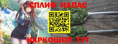 дмт Краснодар