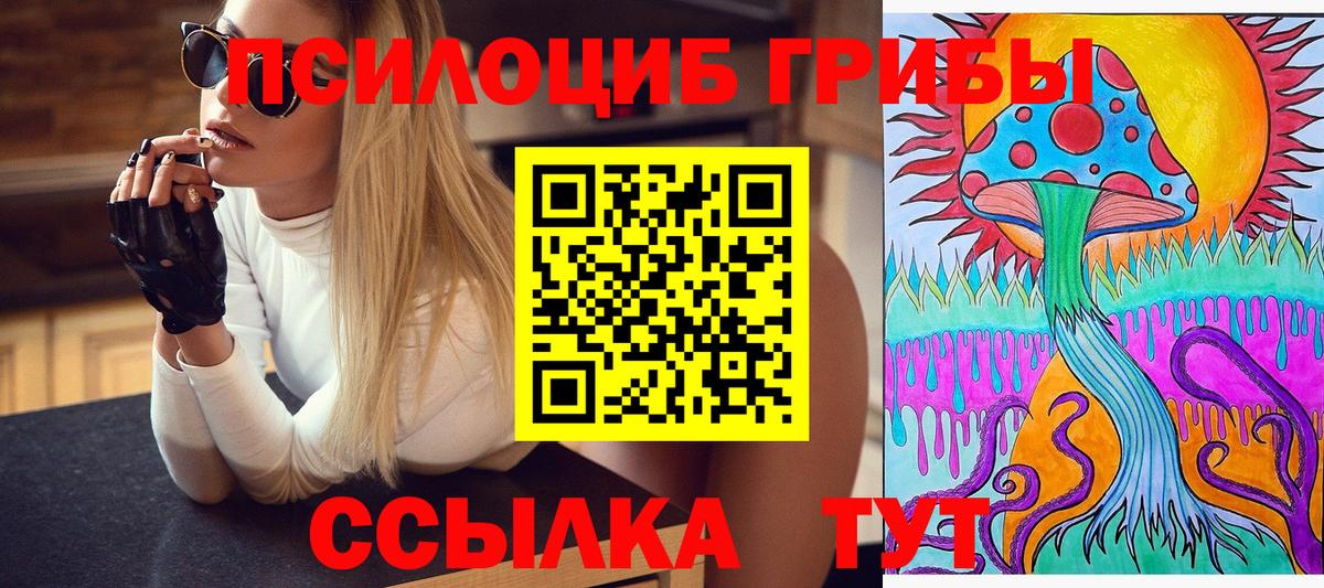 Псилоцибиновые грибы MAGIC MUSHROOMS  Вход с VPN  Кимры  Псилоцибиновые грибы Psilocybine cubensis 